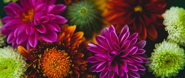 魔术主帅：今日班凯罗出场时间仍有限制